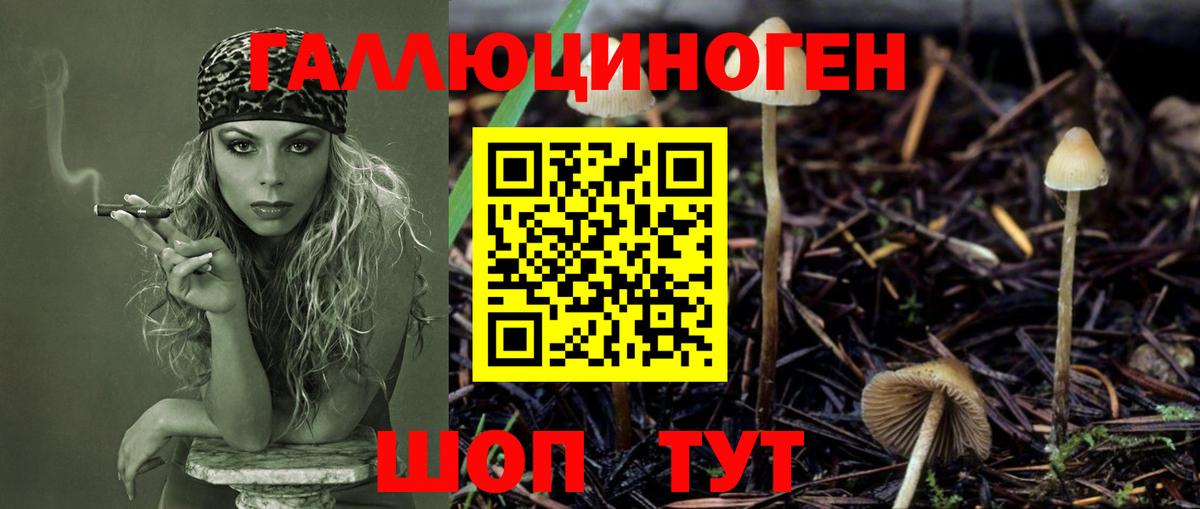 Псилоцибиновые грибы прущие грибы Городец
