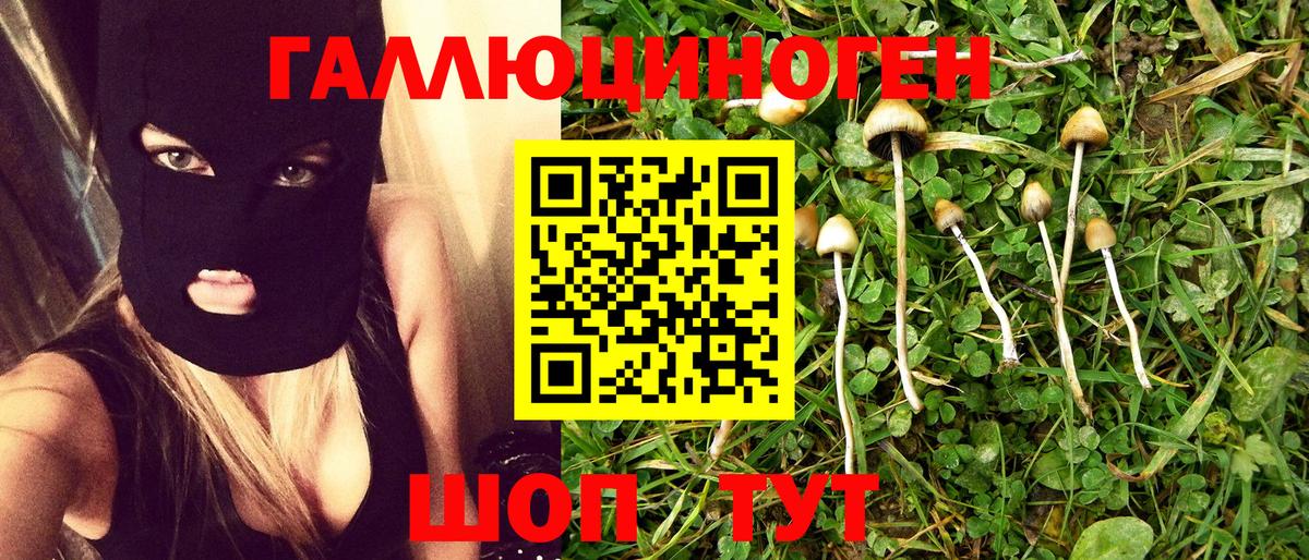 Галлюциногенные грибы Cubensis  Вход с VPN  Городец 